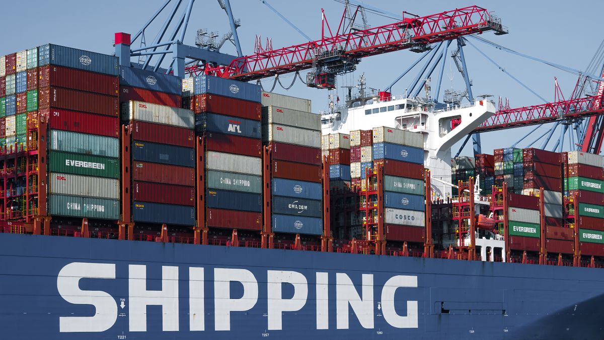 Containerschiff mit Verladekränen im Hamburger Hafen